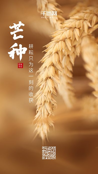 简约二十四节气芒种手机海报