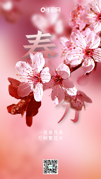 粉色小清新二十四节气春分手机海报