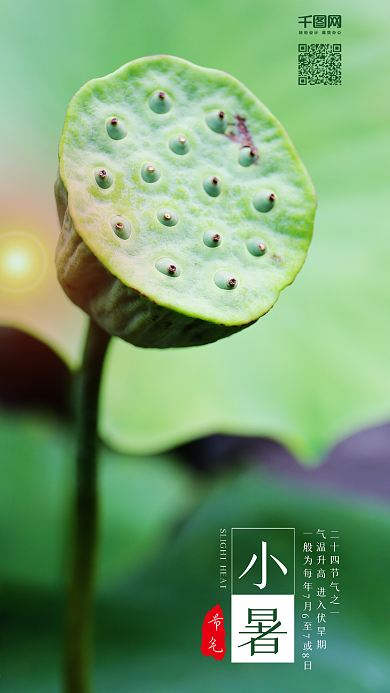 小清新小暑二十四节气手机配图海报