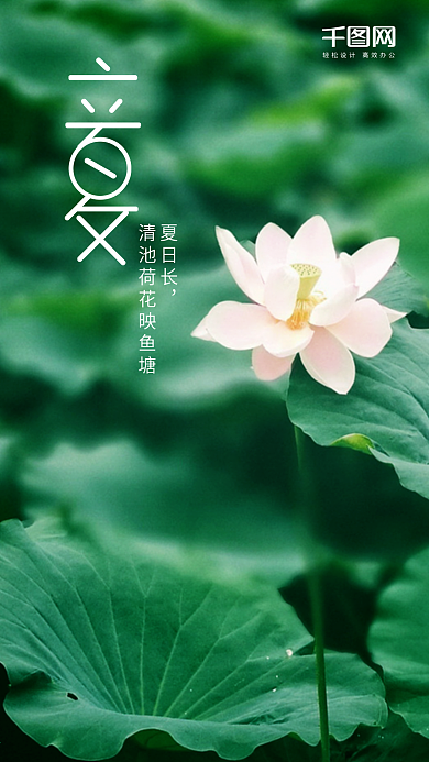 小清新二十四节气立夏手机海报