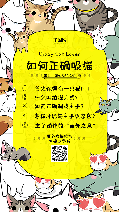 如何吸猫直播课程海报