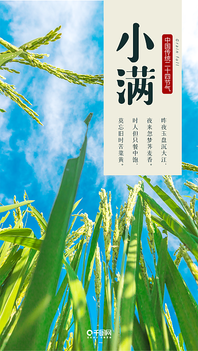 中国二十四节气小满手机用图