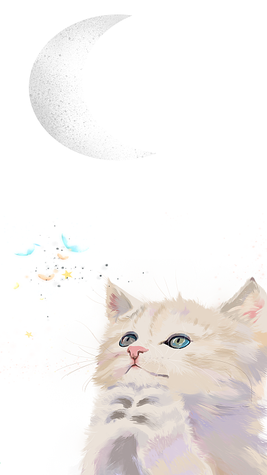 晚安猫萌宠星空唯美手机海报