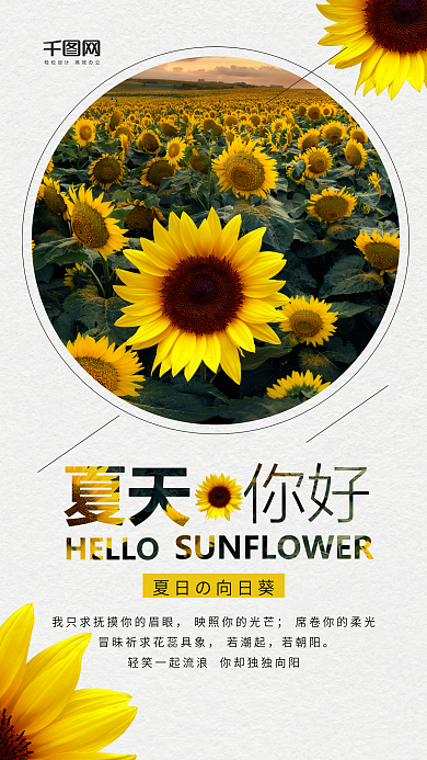 清新简约向日葵夏天你好手机用图