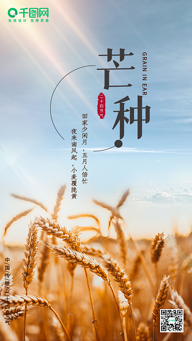 芒种二十四节气手机节气热点海报手机用图