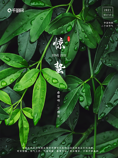 24节气惊蛰简约清新节日海报