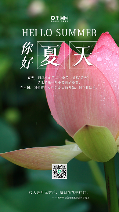 小清新荷花夏天你好手机用图
