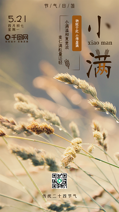 小满入夏二十四节气小清新手机海报