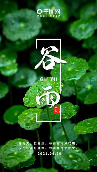 清新简约绿色谷雨手机用图