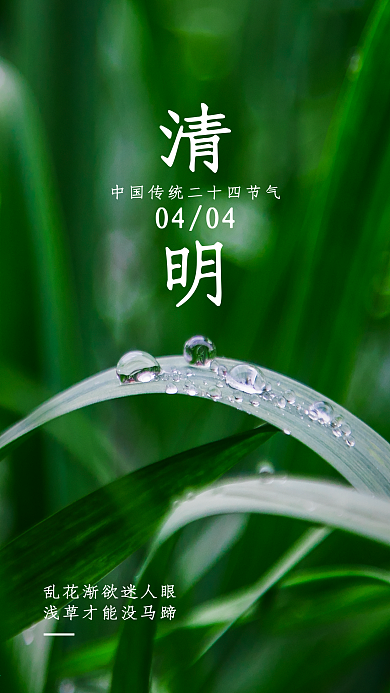 清明春分雨水节气节日推广宣传手机海报H5