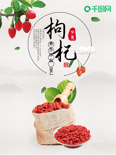 中国风水墨宁夏养生珍品特产天然枸杞海报设计
