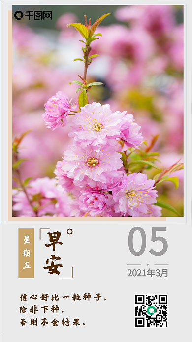 原创日签早安樱花手机海报简约日历海报