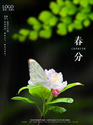 简约清新春天春分二十四节气海报