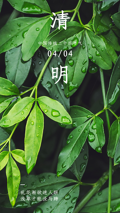 清明谷雨惊蛰春分简约大气宣传推广手机海报