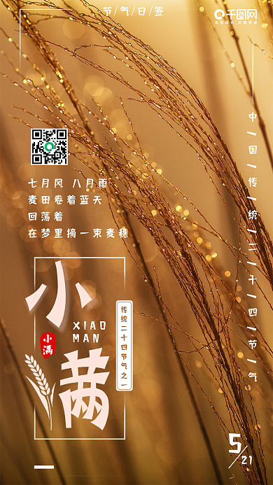 小满二十四节气简约小清新手机配图