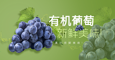 电商淘宝有机葡萄海报