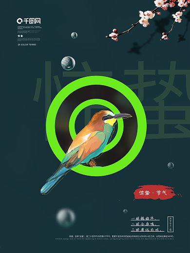 深色春天飞鸟桃花惊蛰节气海报