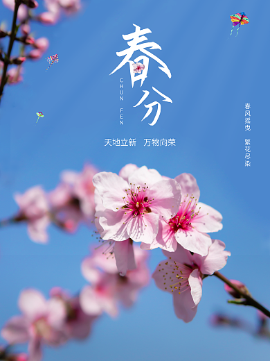 二十四节气春分春天惊蛰雨水节气桃花