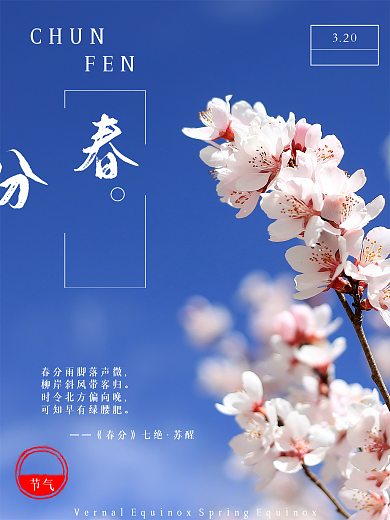 中国传统24节气春分蓝色小清新海报