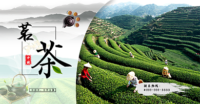 茶叶网站banner