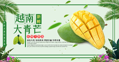 淡绿色小清新越南大青芒水果电商海报