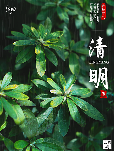 传统节气植物绿色清明传统节气海报
