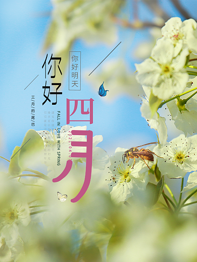 你好四月春天初春梨花树上的小蜜蜂海报