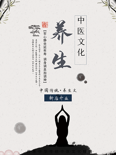中医养生中国风创意简约商业海报设计模板