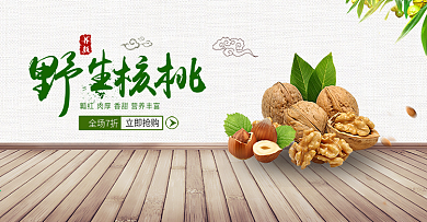 绿色清新坚果野生核桃美食电商banner