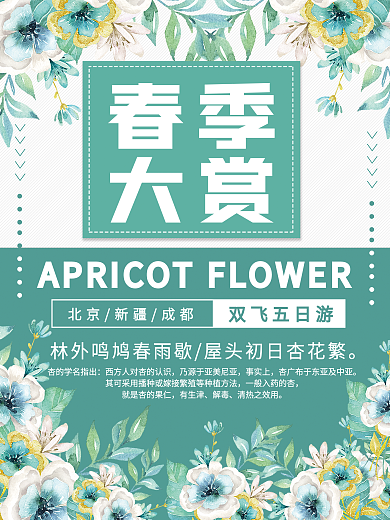 春季大赏宣传促销海报设计