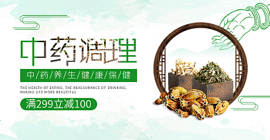 中国风健康日健康保健中药养生医疗医院药品