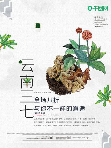 清新大气美食云南三七药材新品上市促销海报