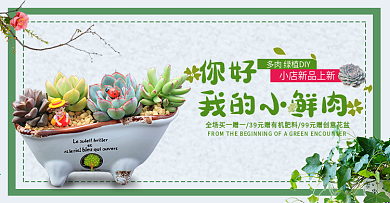 灰色小清新多肉绿植盆电商海报banner淘宝海报