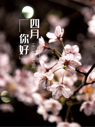 四月你好桃花盛开