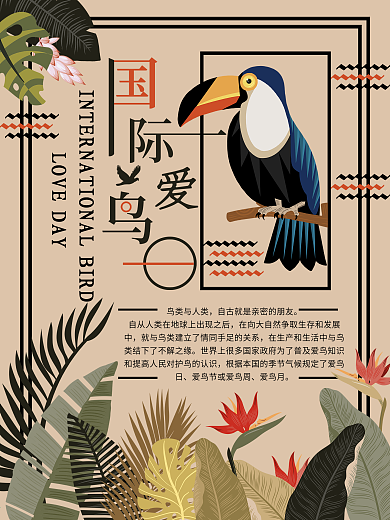 国际爱鸟日保护鸟类宣传海报