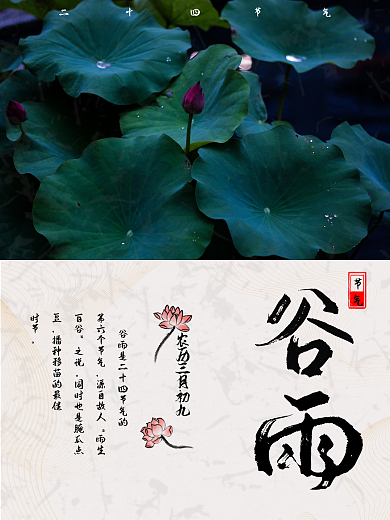 荷花清新谷雨节气海报