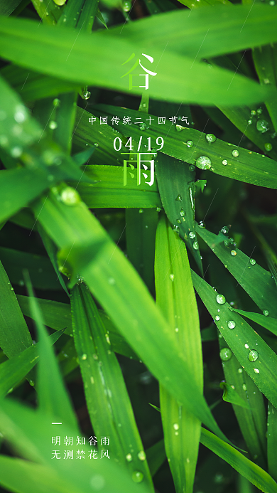 谷雨清明惊蛰春分简约大气宣传推广手机海报