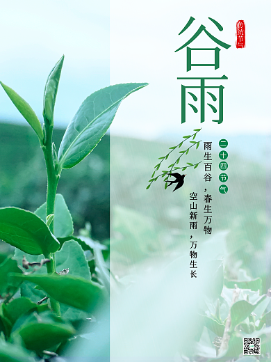 谷雨基础小清新绿色植物节气传统海报宣传