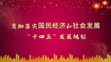 贯彻落实十四五规划图解展板
