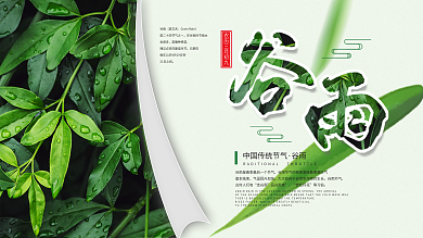 中国传统二十四节气之谷雨