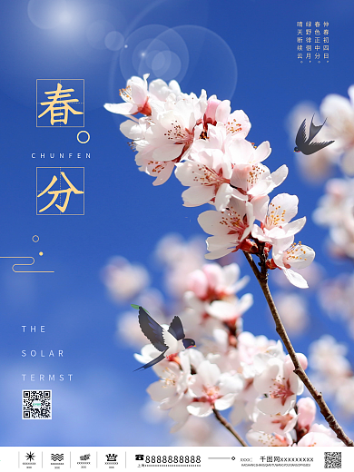 春分二十四节气摄影海报春分海报