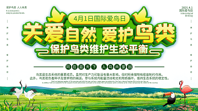 国际爱鸟日保护鸟类宣传展板