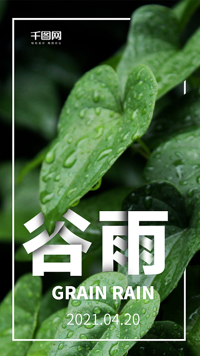 清新简约谷雨手机用图