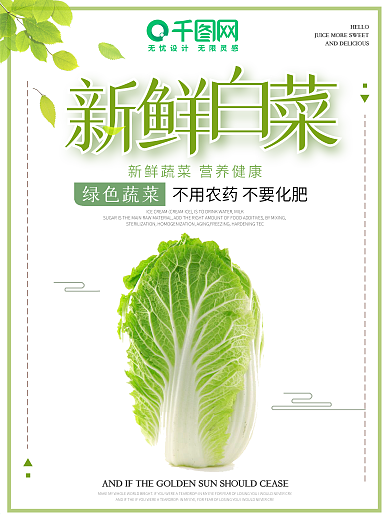 绿色简约清新食品蔬菜健康白菜海报设计