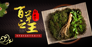 黑金人参滋补品秋季进补全屏海报