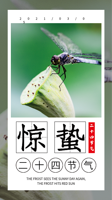 惊蛰手机壁纸海报二十四节气