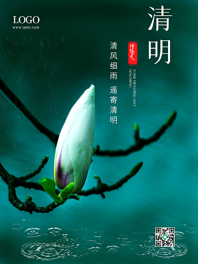 清明节踏青节24节气春季绿色清新简约海报