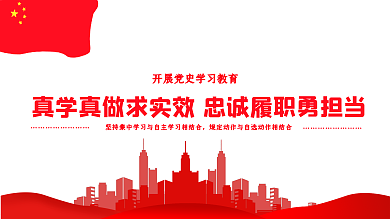 真学真做求实效忠诚履职勇担当红色党建展板