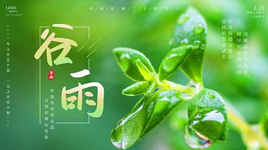 谷雨简约小清新摄影图节气展板