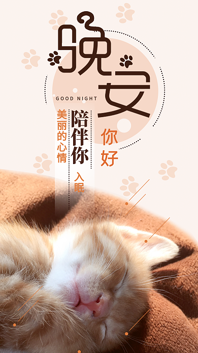 猫咪晚安奶茶色